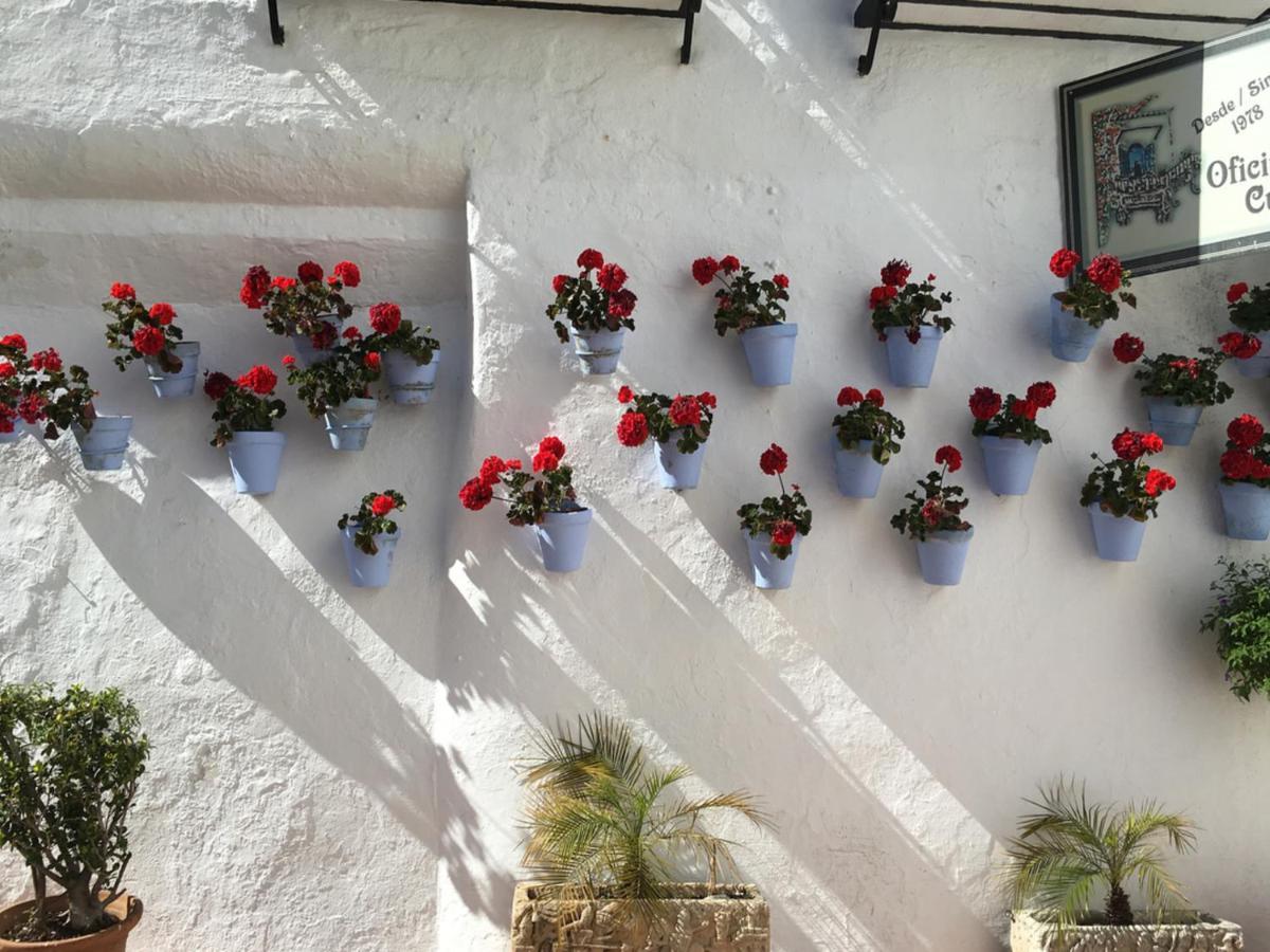 Paris Fashion - Torremolinos Apartment Luaran gambar